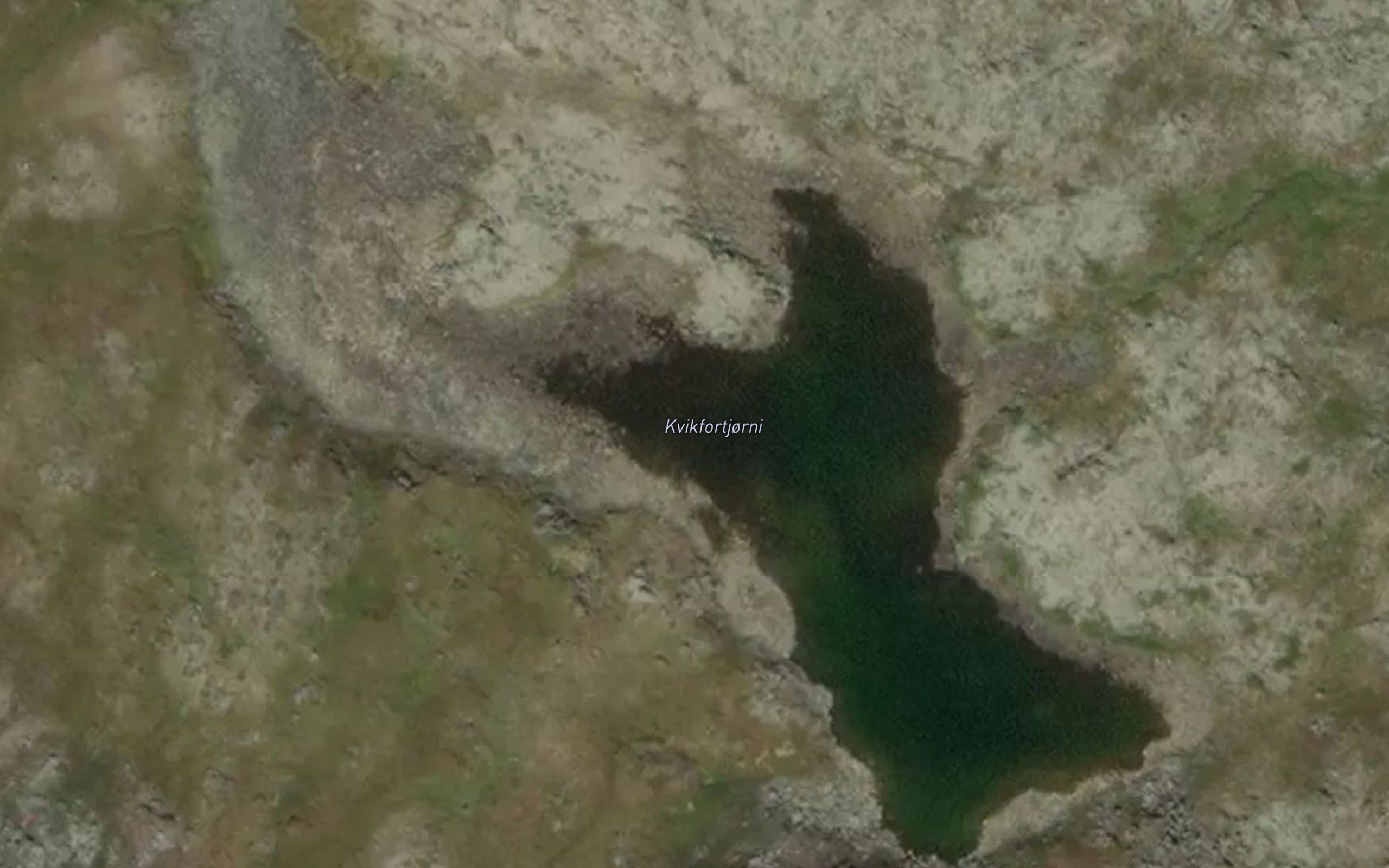 Kvigfortjorni