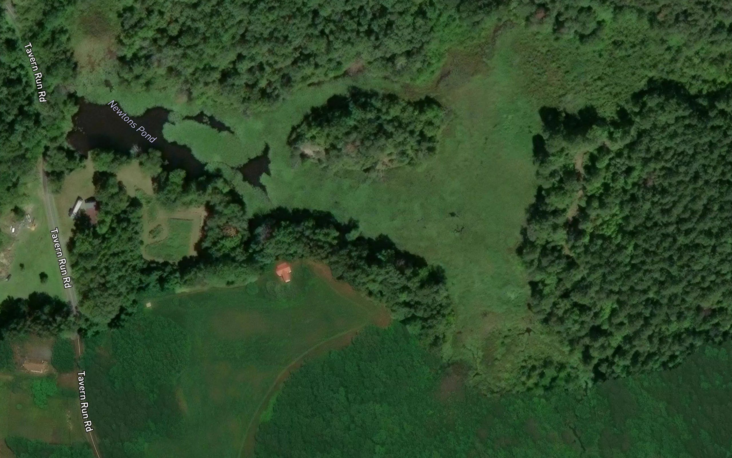 Newtons Pond