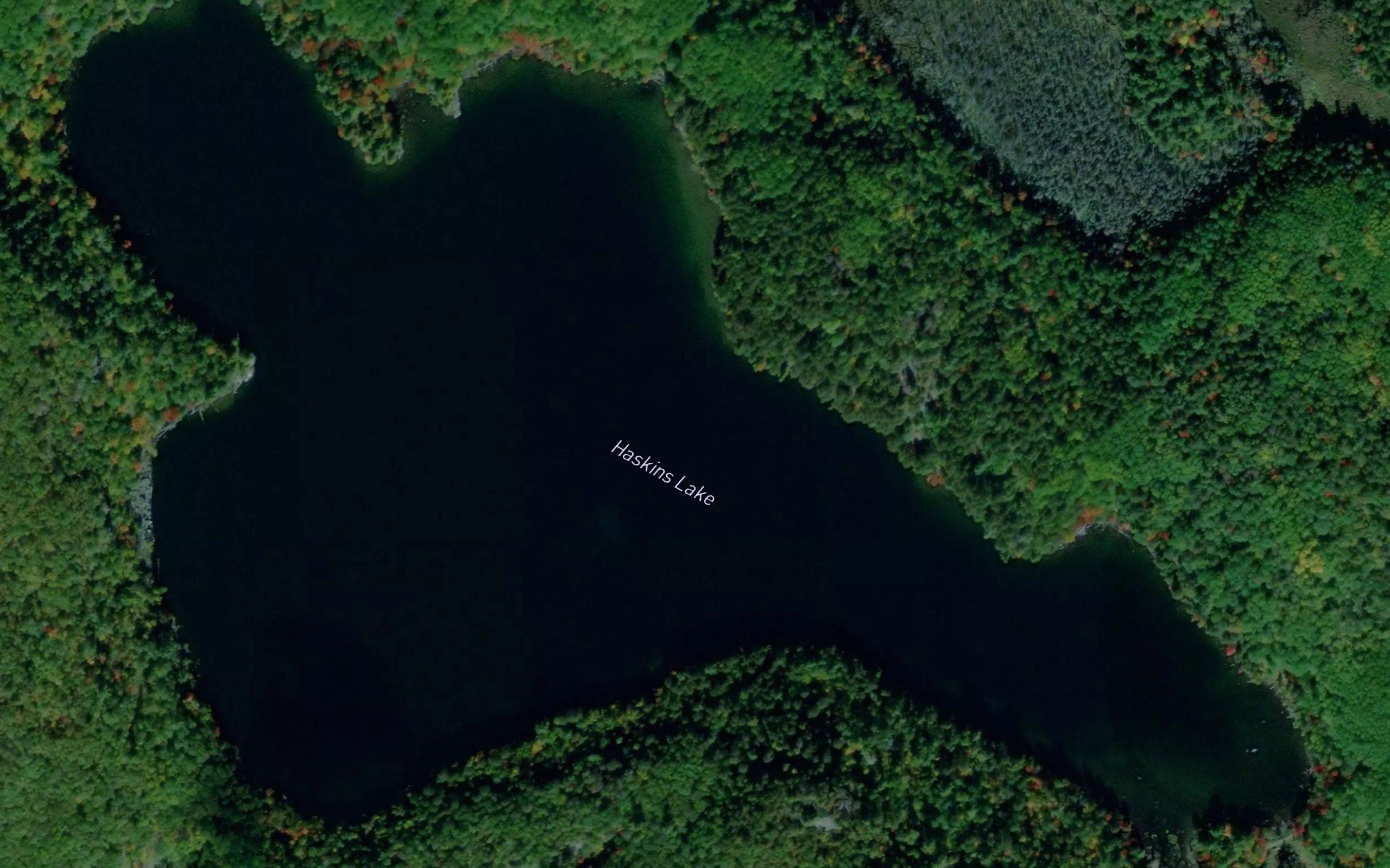 Haskins Lake