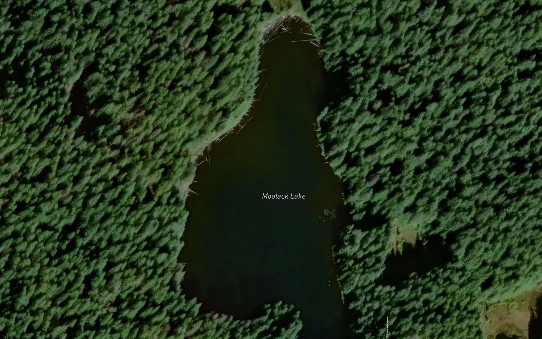 Satellite map of the Moolack Lake