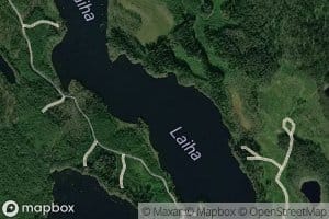 Laiha
