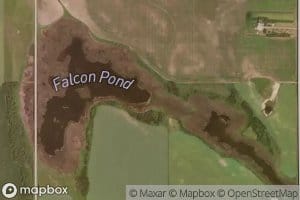 Falcon Pond