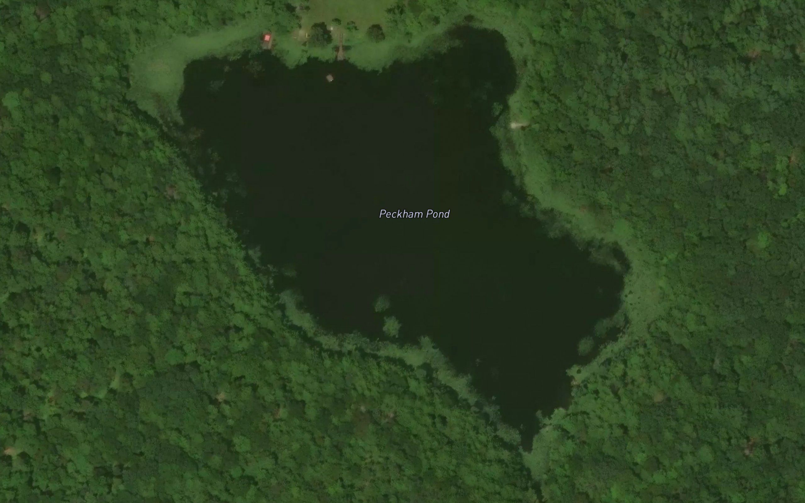 Peckham Pond