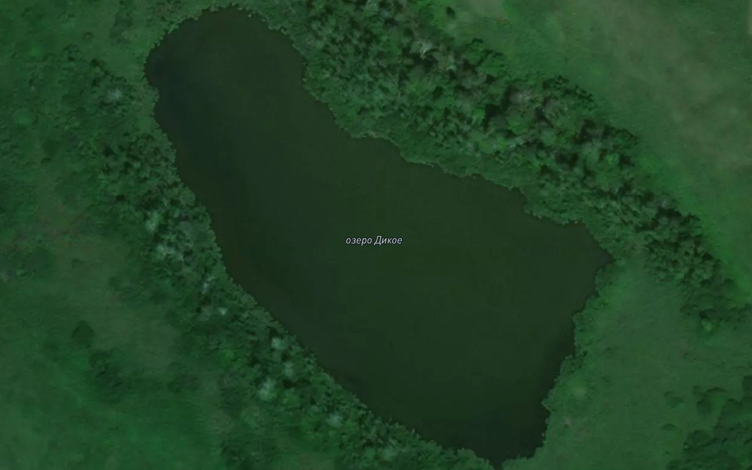 Ozero Dikoye
