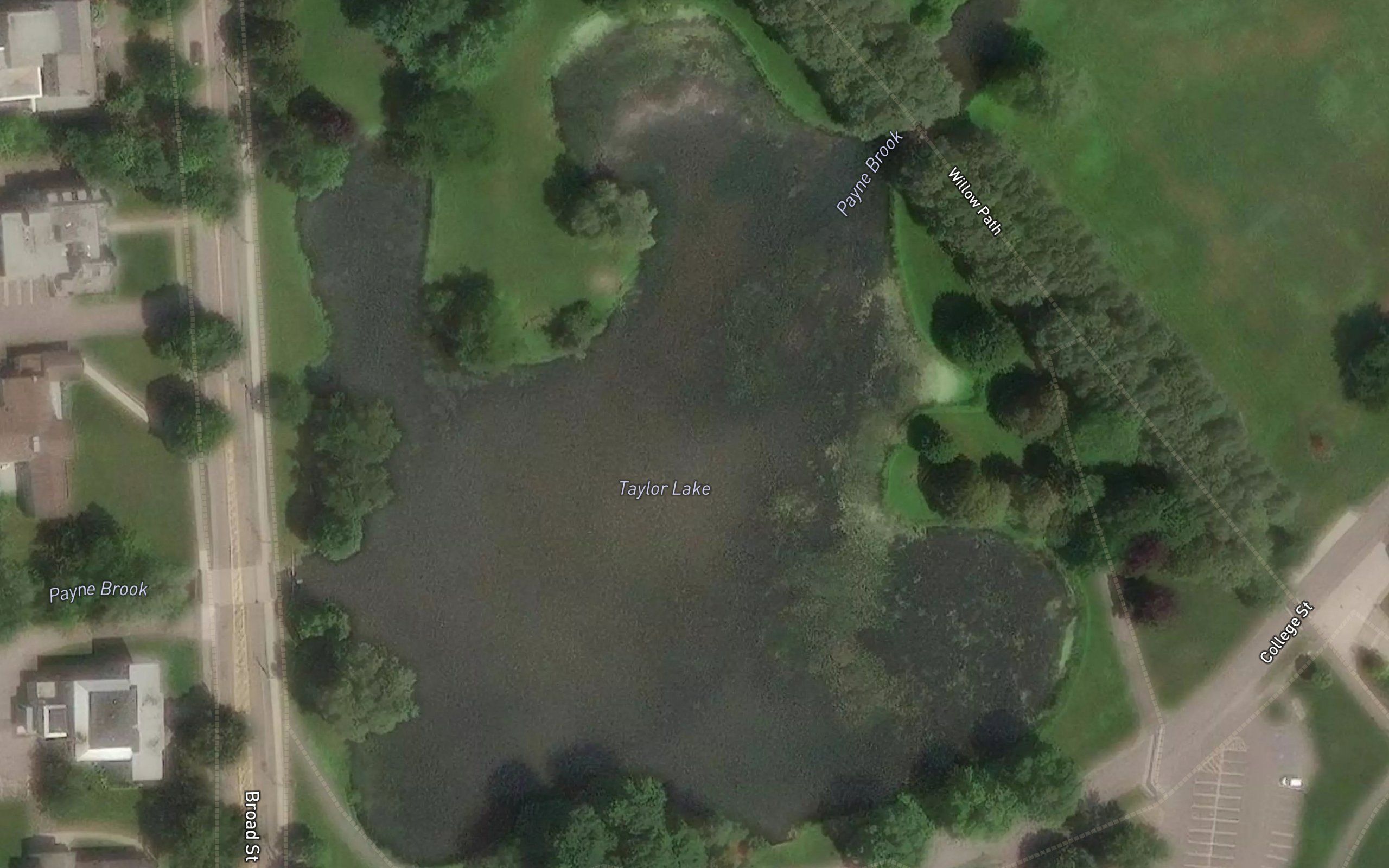 Taylor Lake