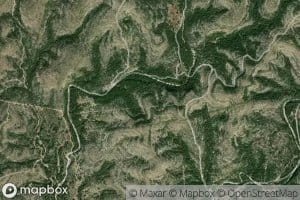 Moran Springs