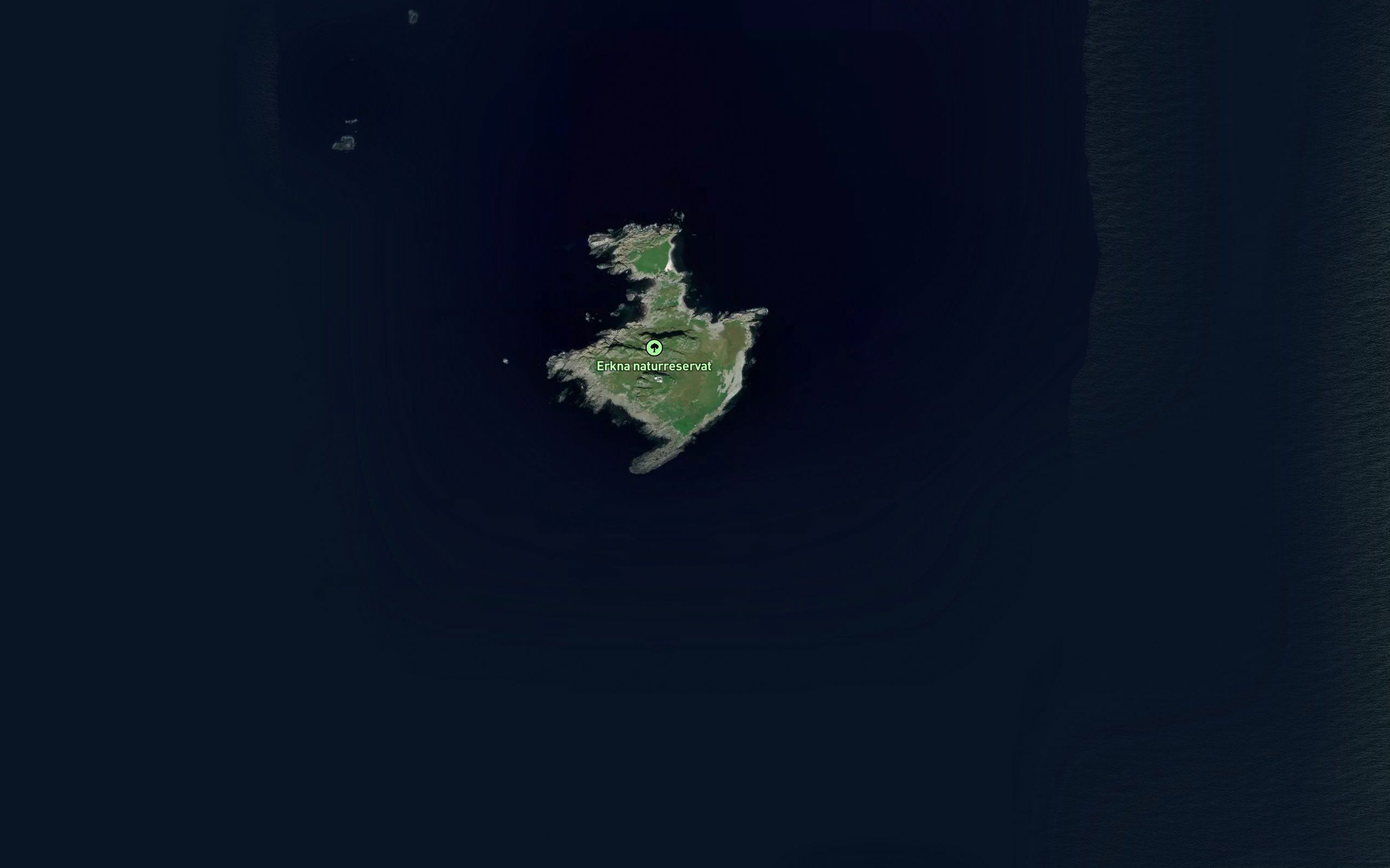Kalvehola