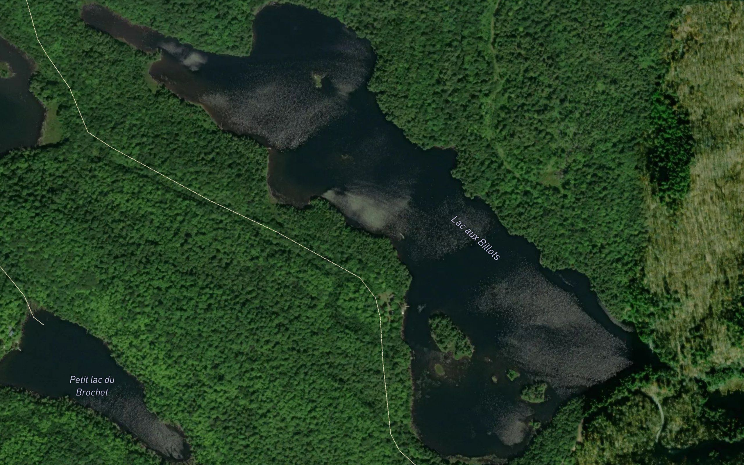 Lac aux Billots