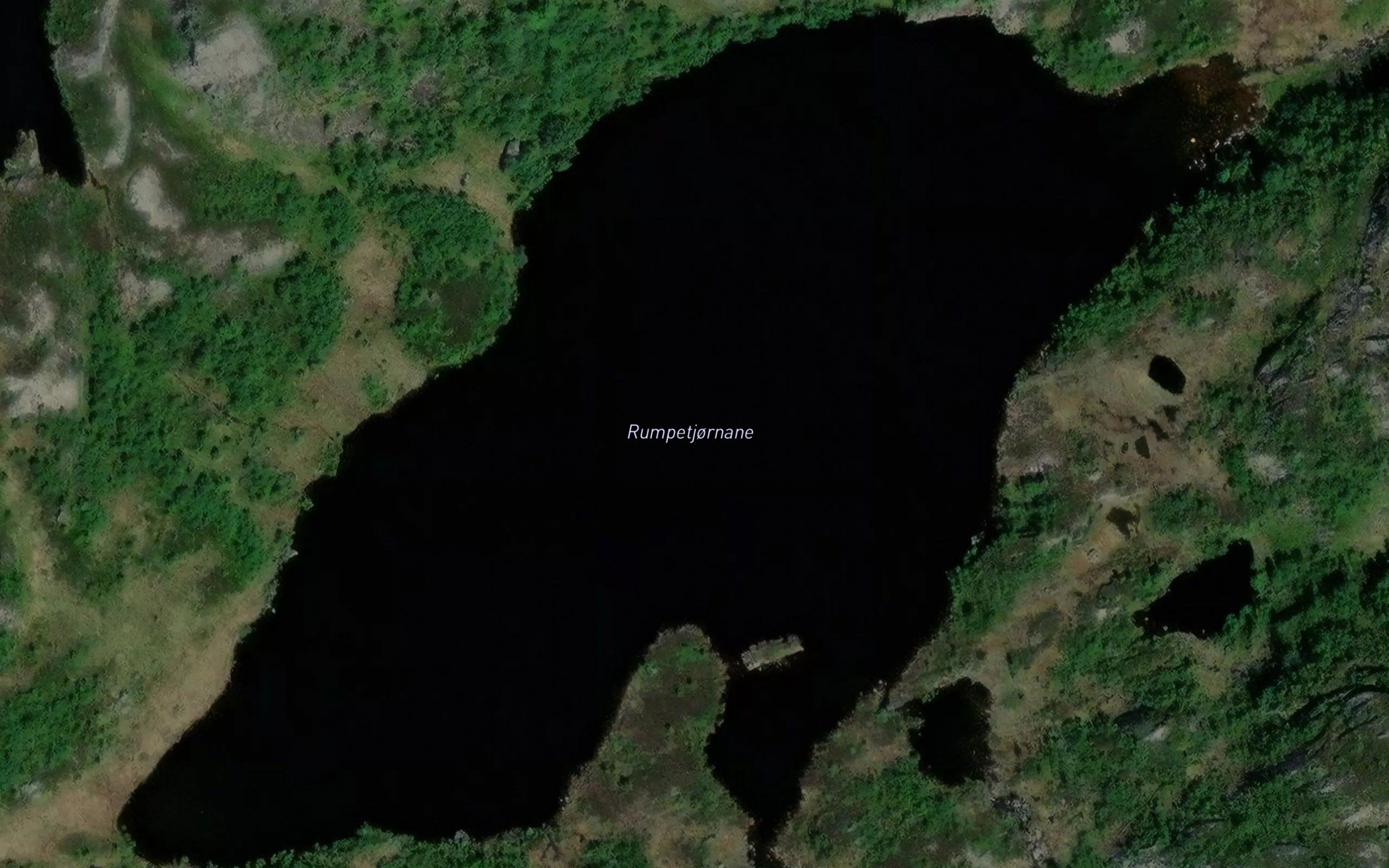 Rumpetjornane