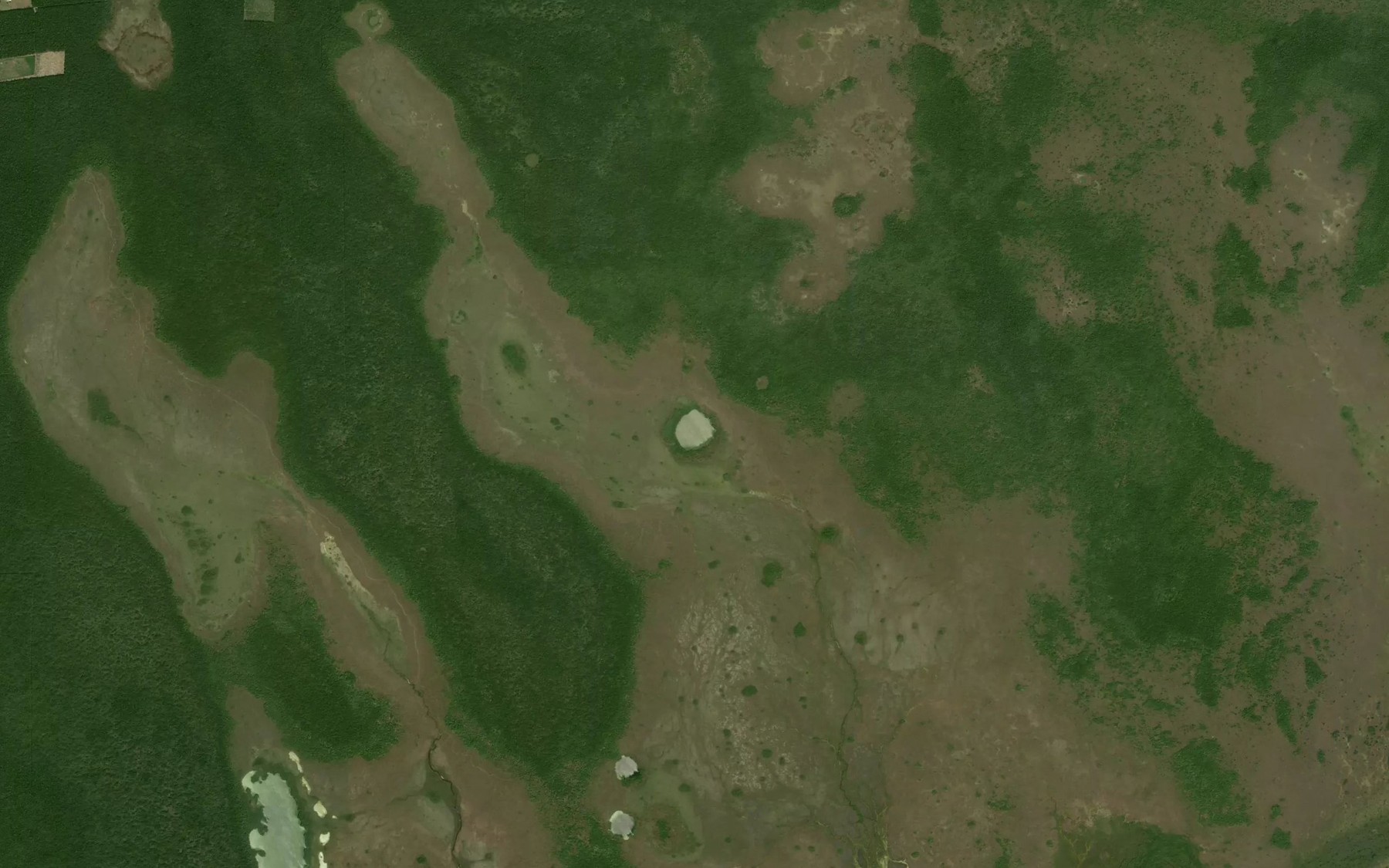 Satellite map of the Laguna Milagros