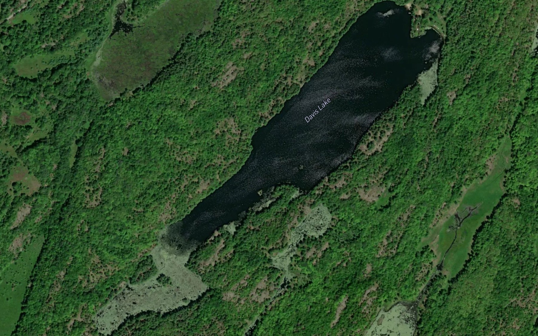 Satellite map of the Davis Lake