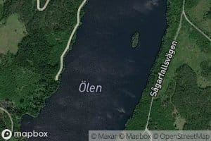 Olen