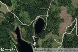 Vesletjernet