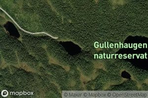 Svarttjern