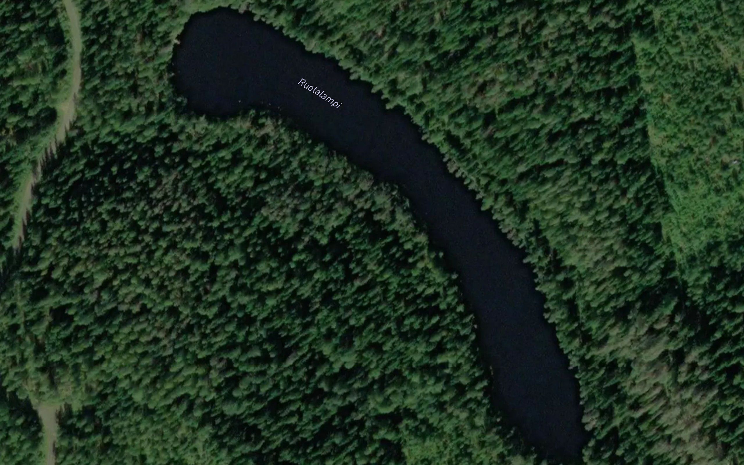 Ruotalampi