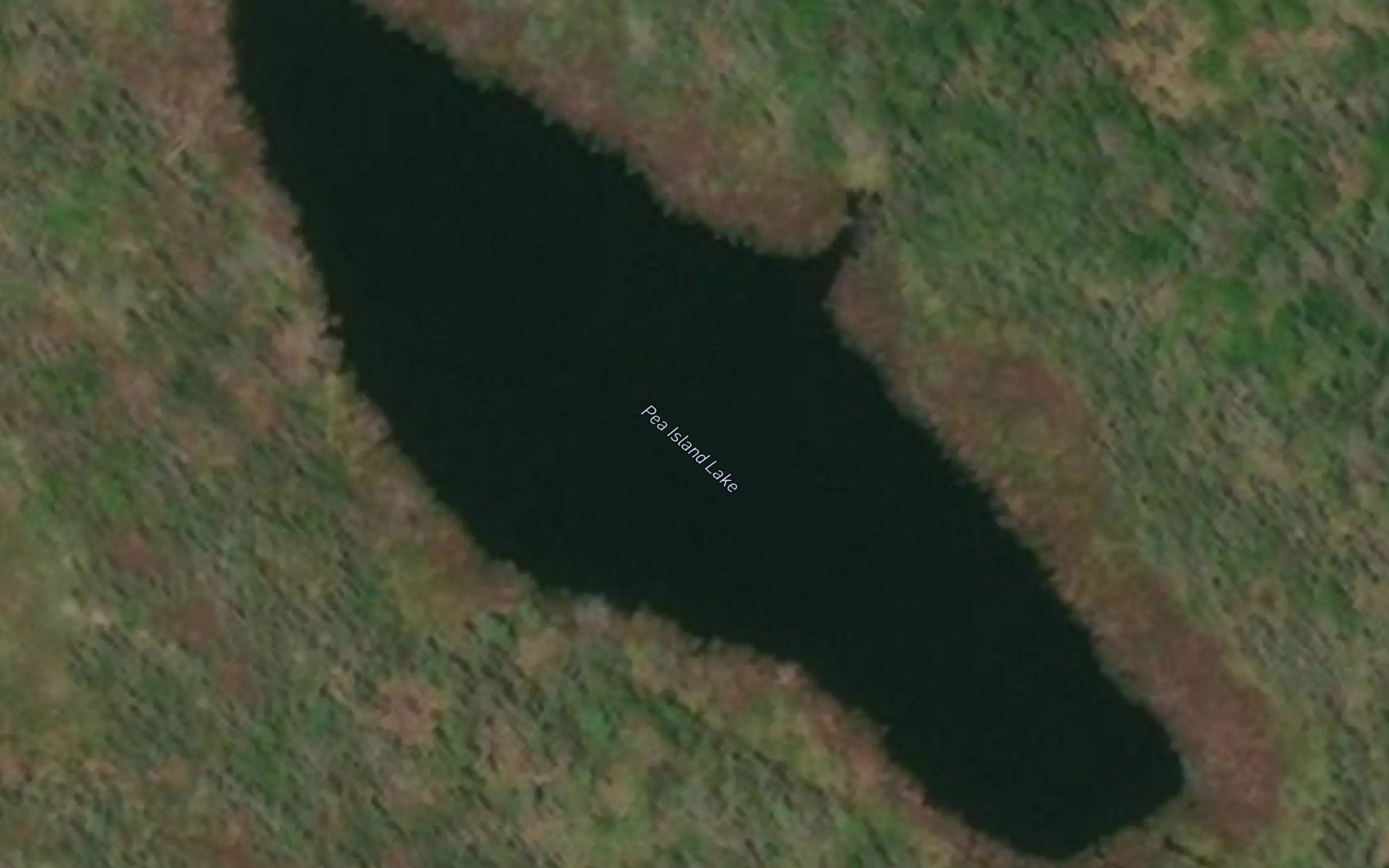 Pea Island Lake