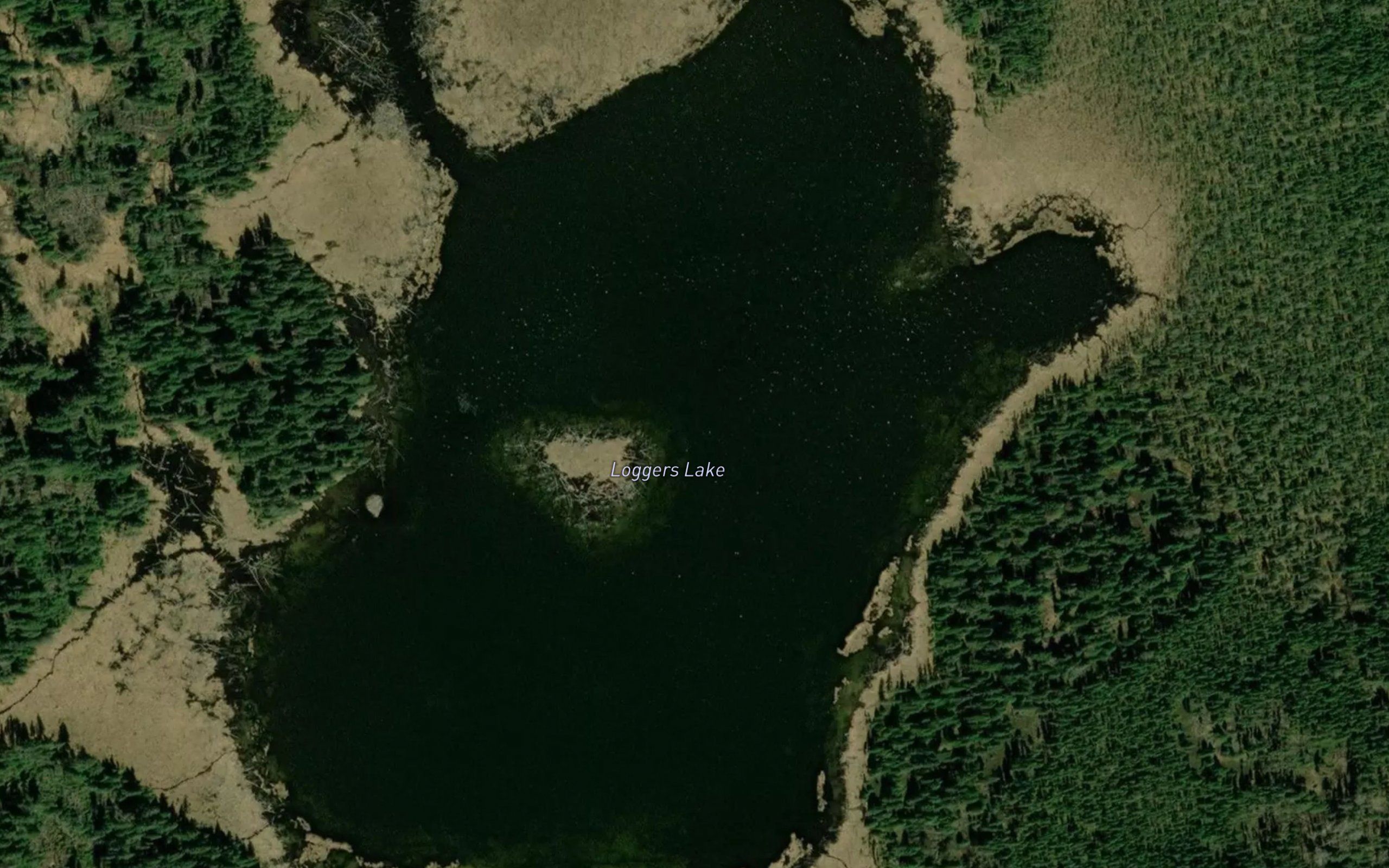Loggers Lake