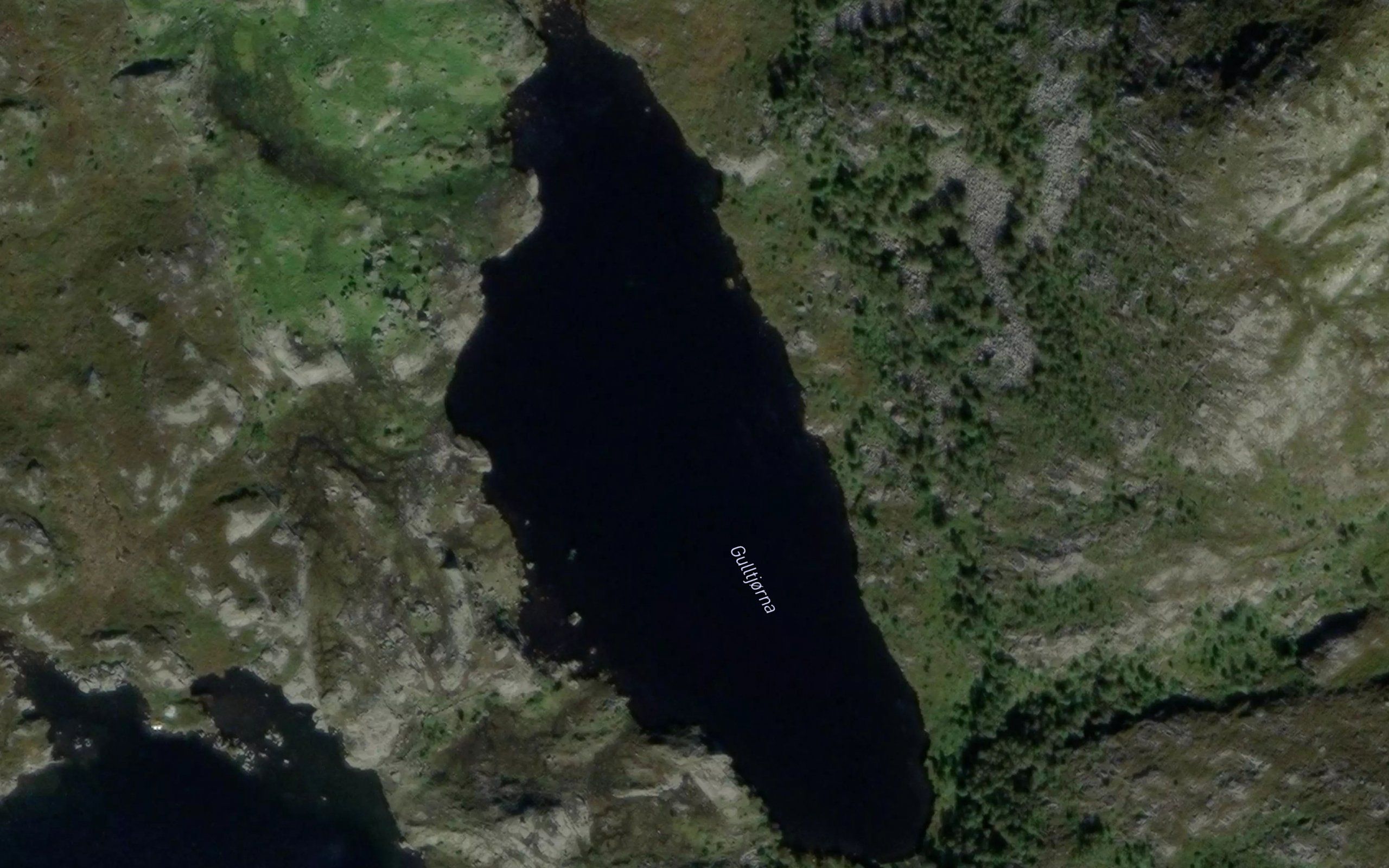Gulltjorna