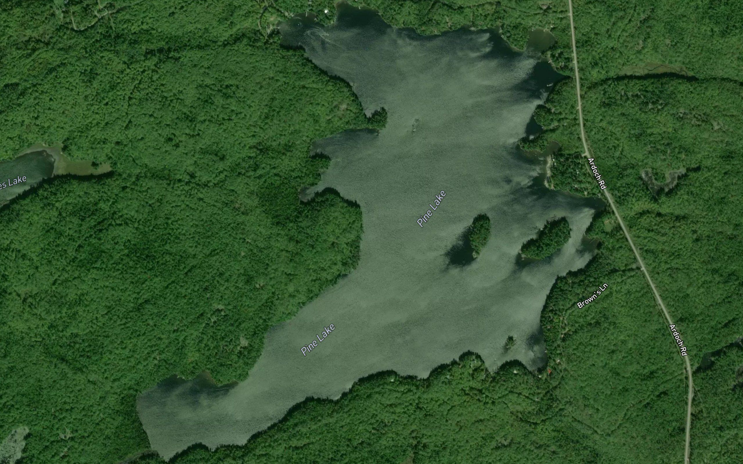 Pine Lake