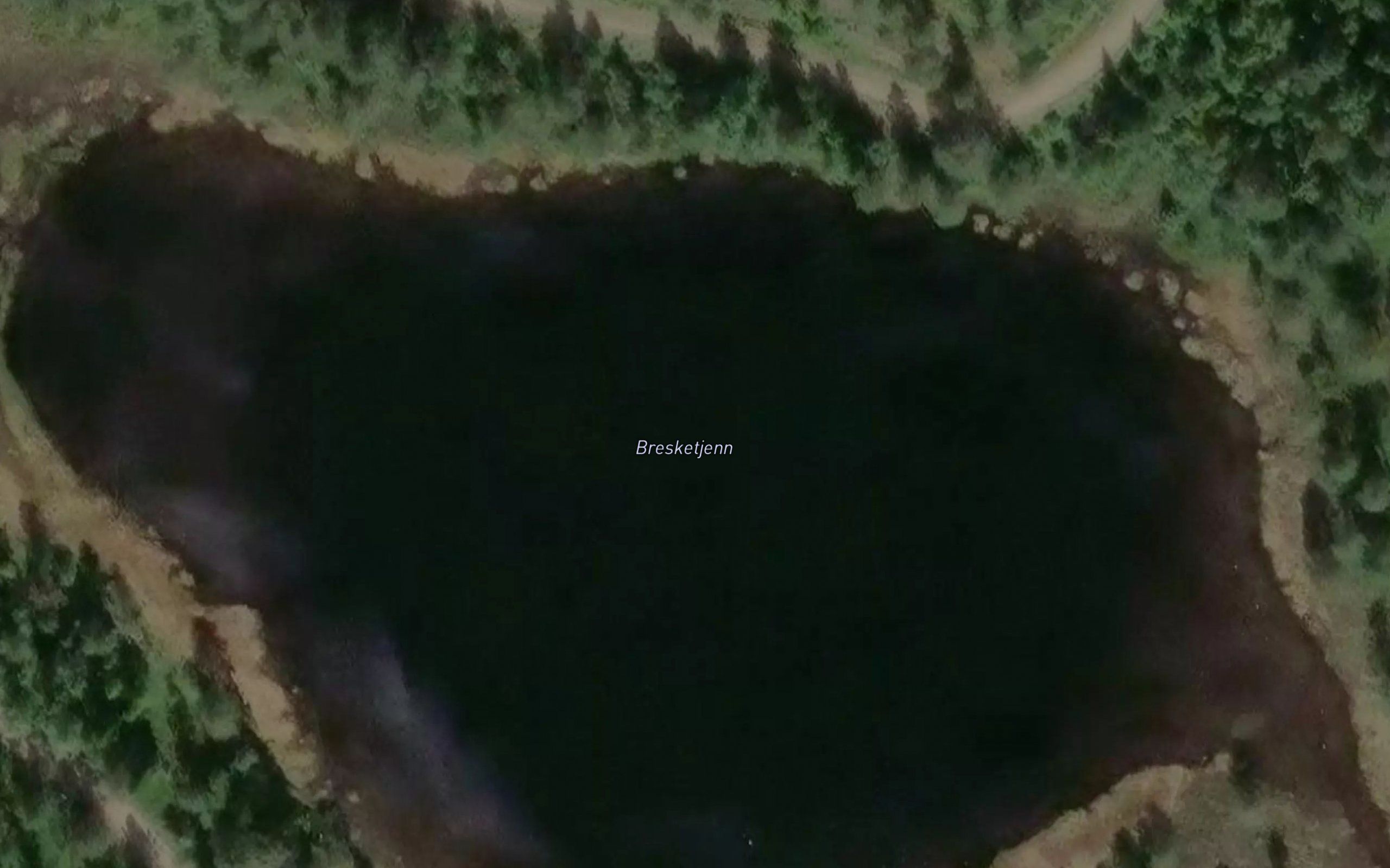 Bresketjern