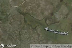 Roanceluobbal