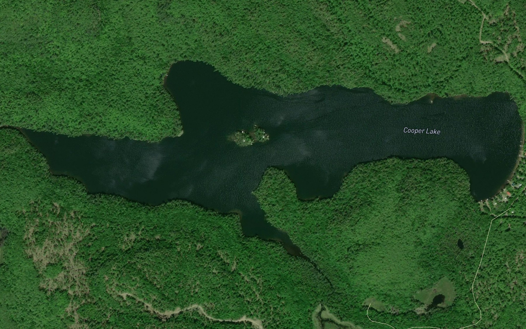 Satellite map of the Cooper Lake