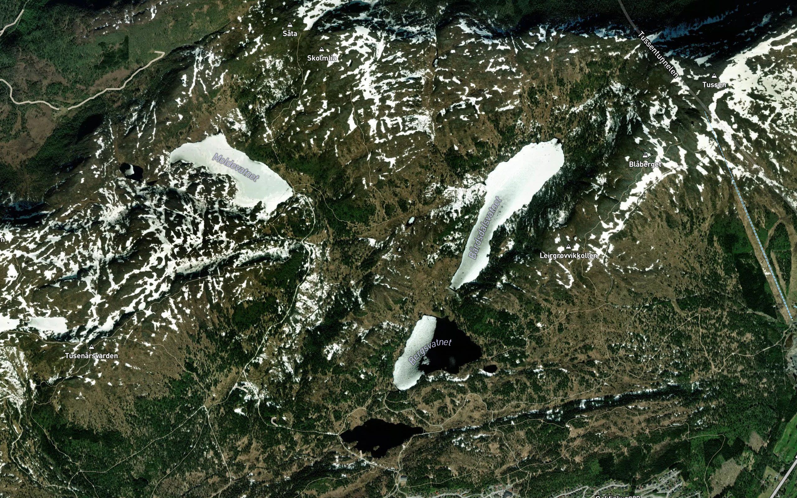 Grastjonna