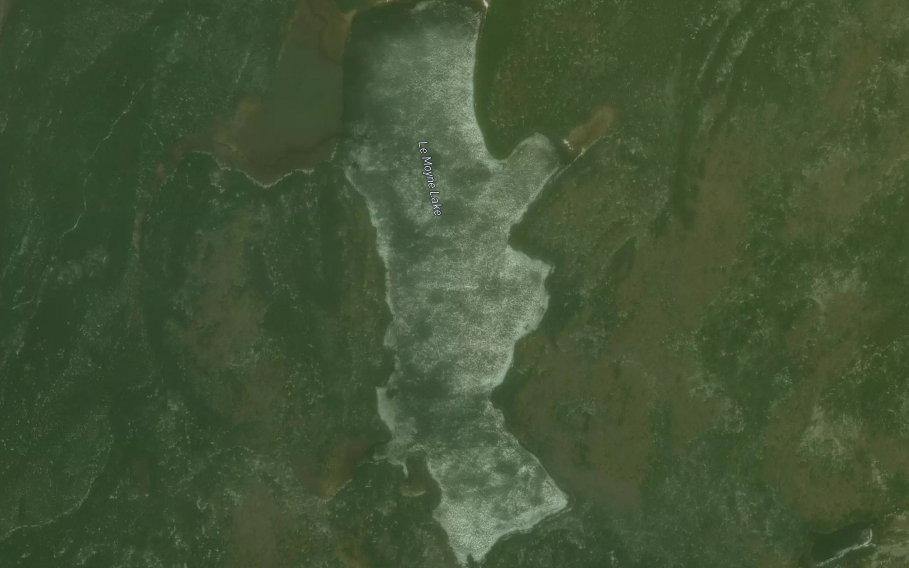 Satellite map of the Le Moyne Lake