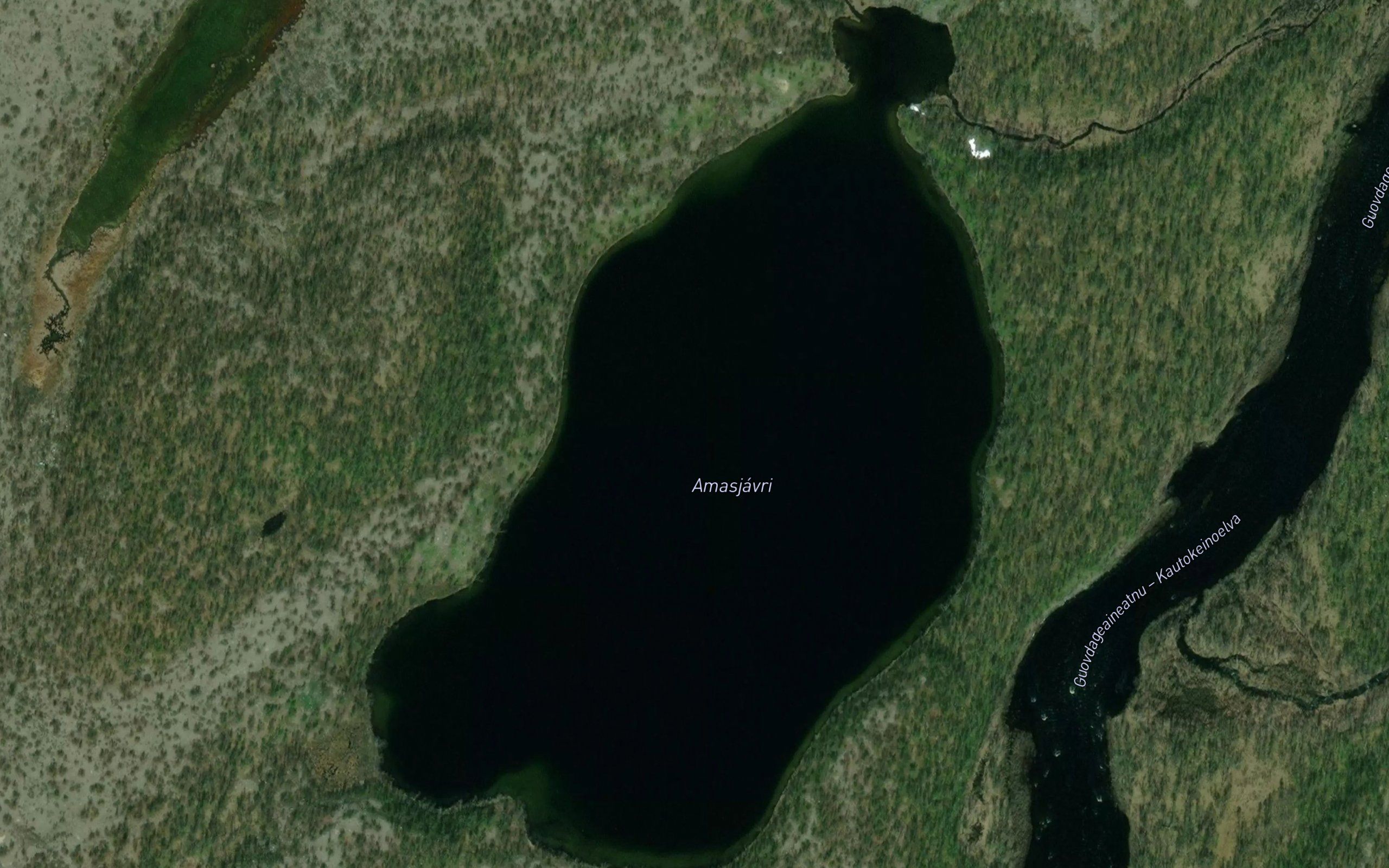 Amasjavri