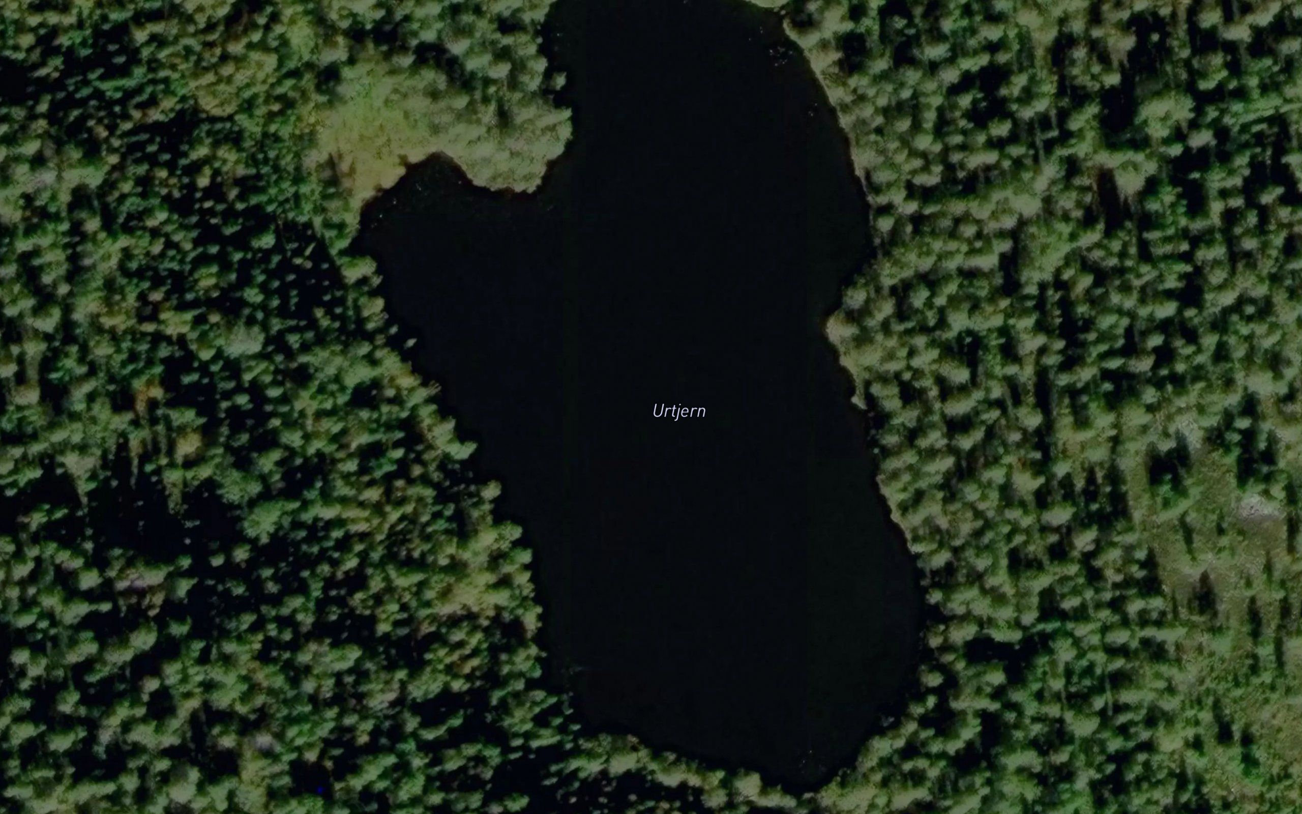 Urdtjern