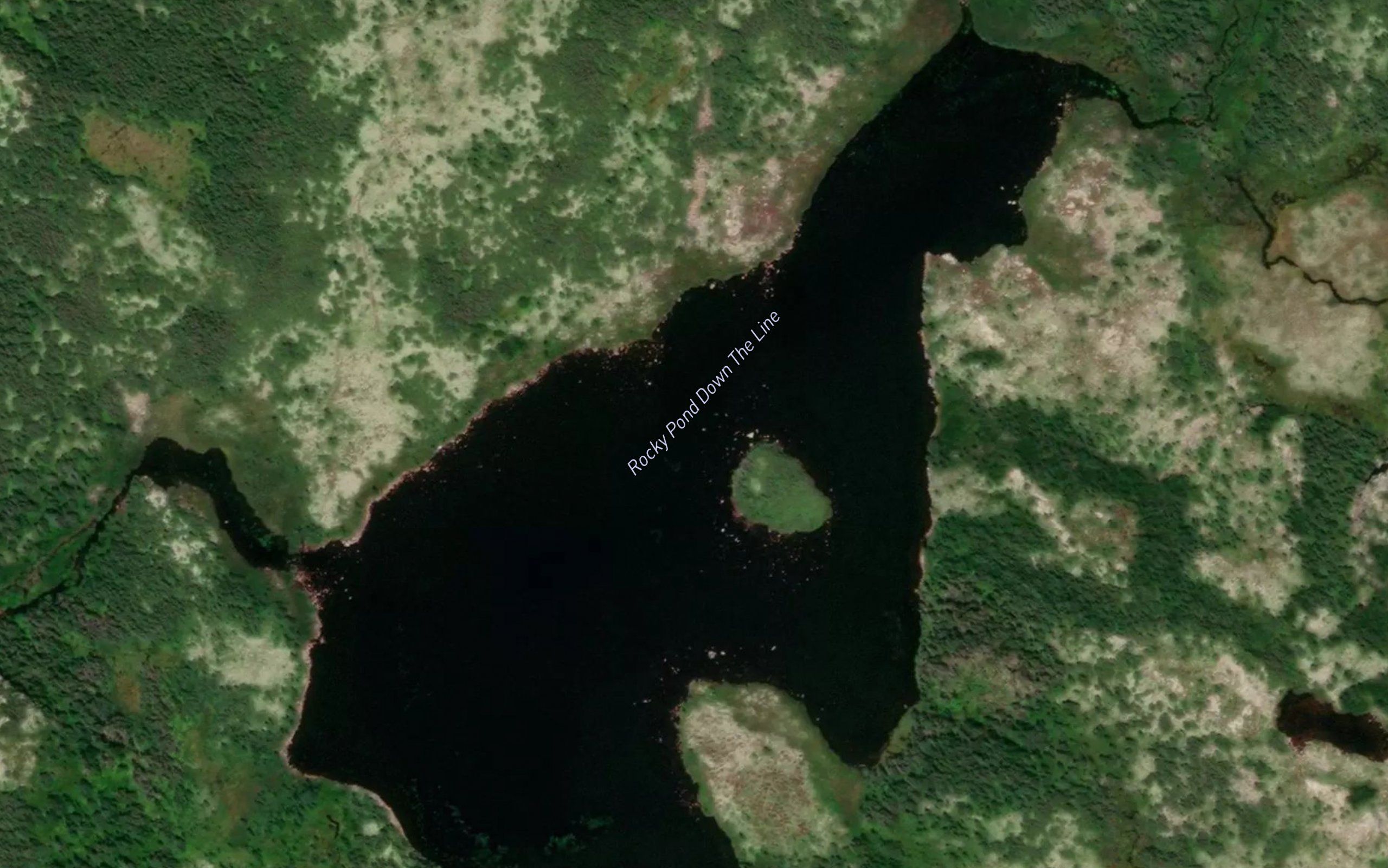 Rocky Pond Down The Line