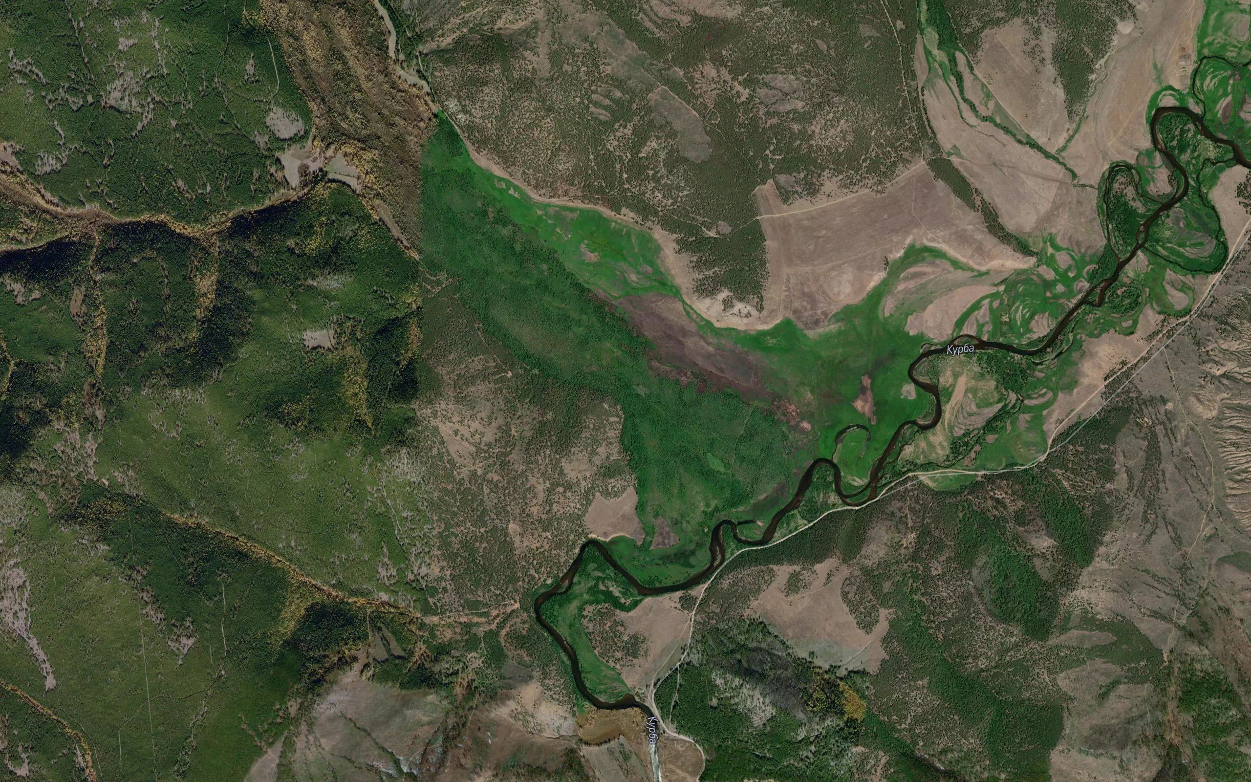 Arshanchik