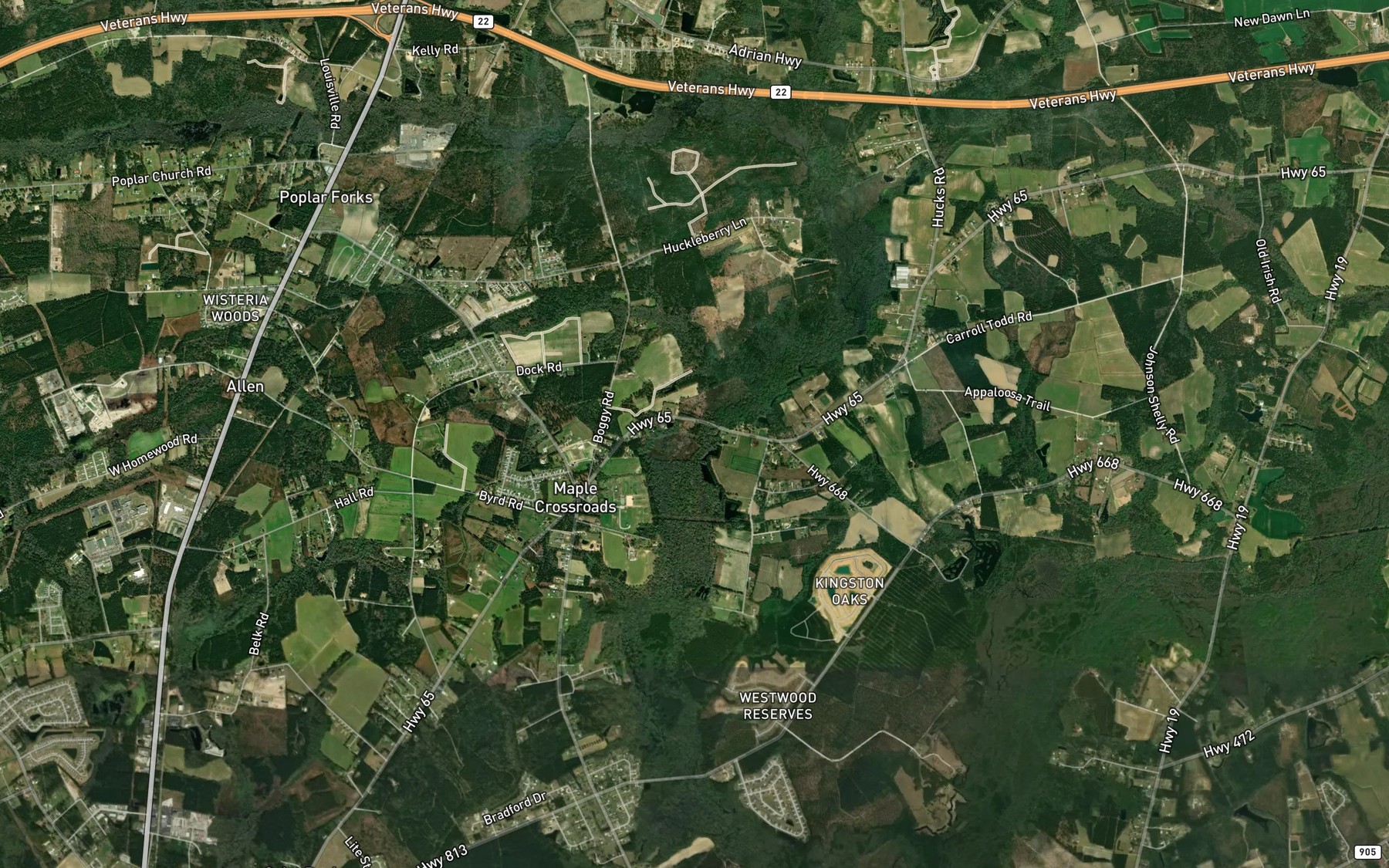 Satellite map of the Boggy Swamp
