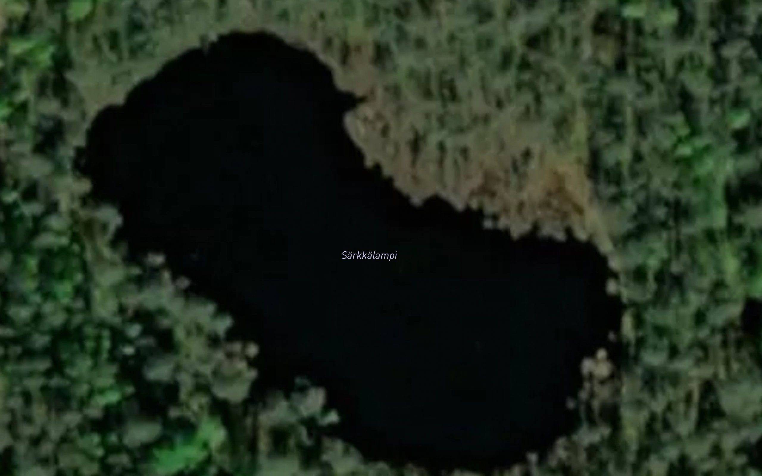Sarkkalampi