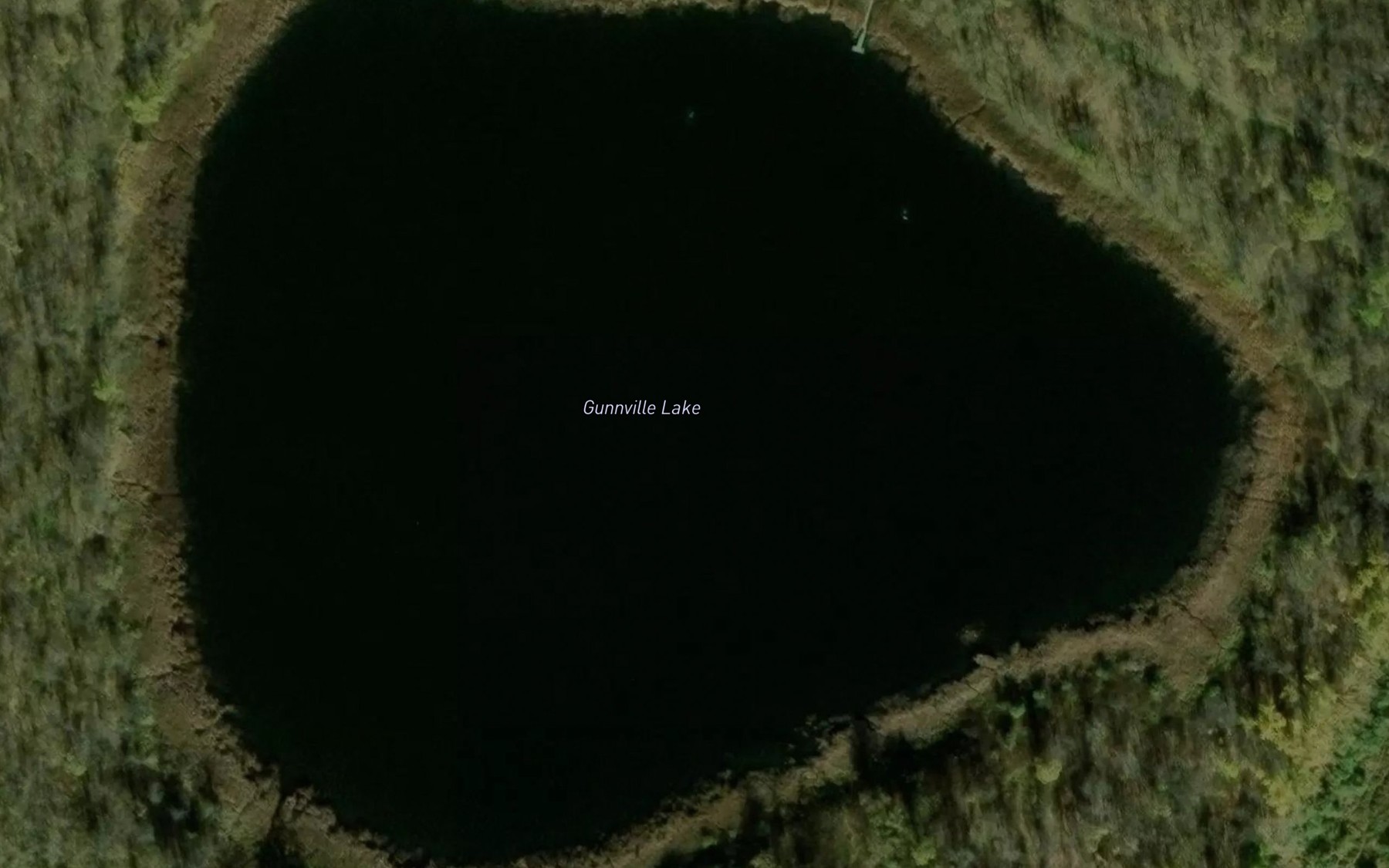 Satellite map of the Gunnville Lake