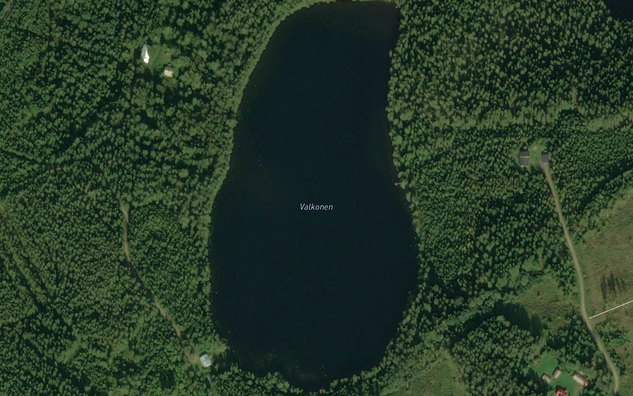 Valkonen