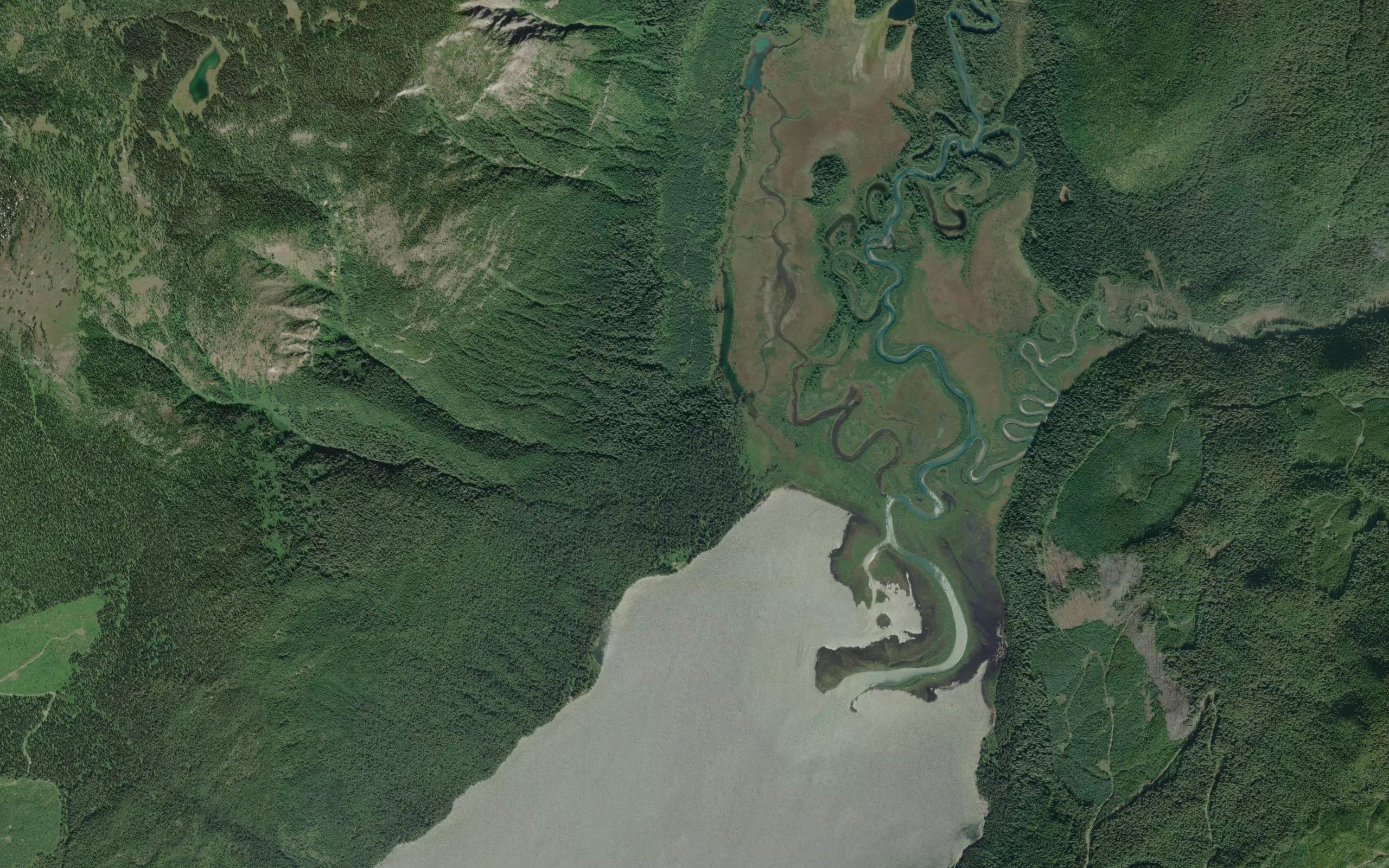 Mitchell River