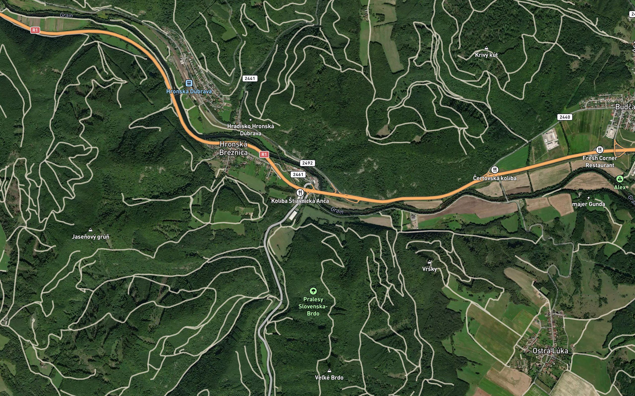 Jasenica