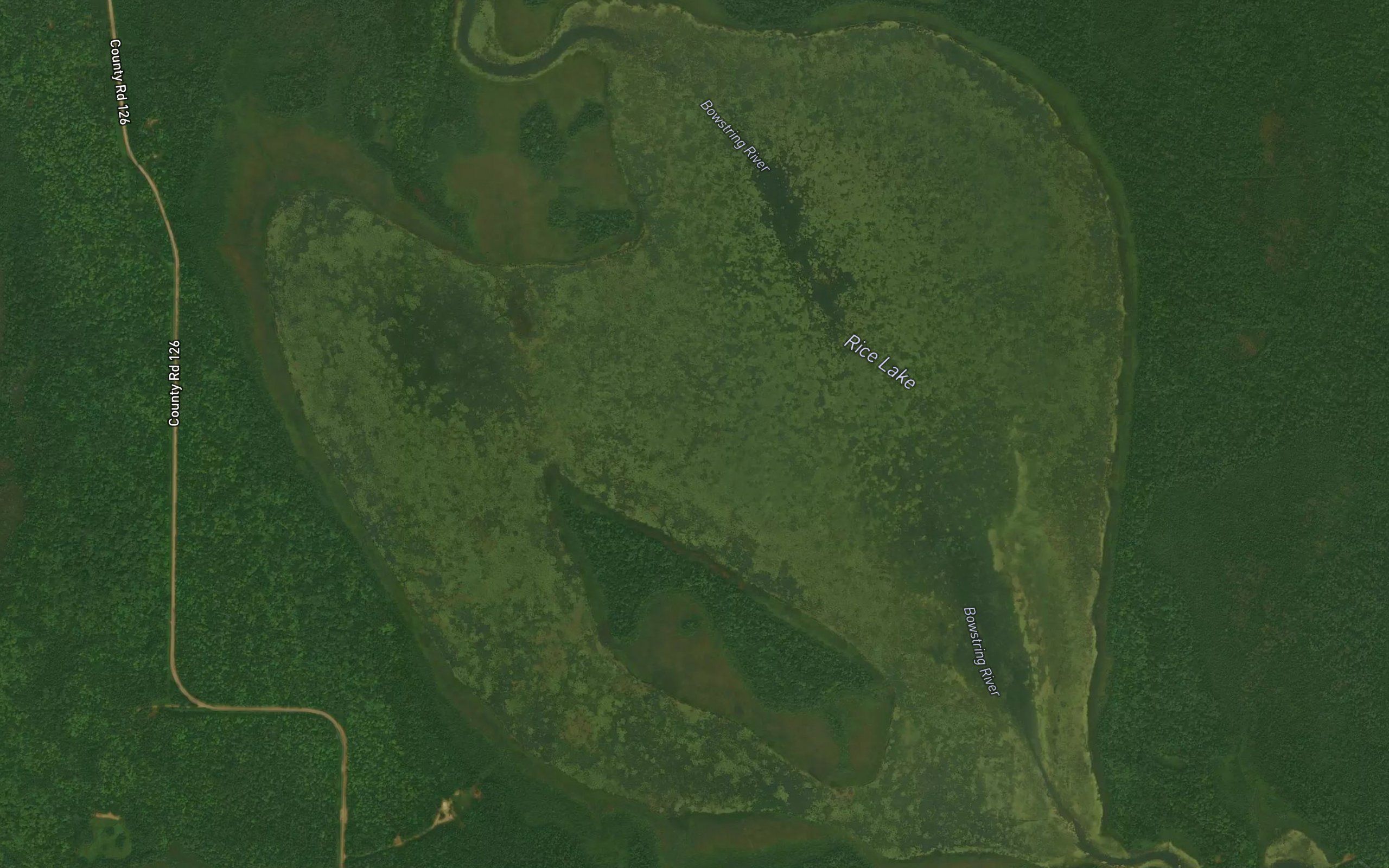Rice Lake