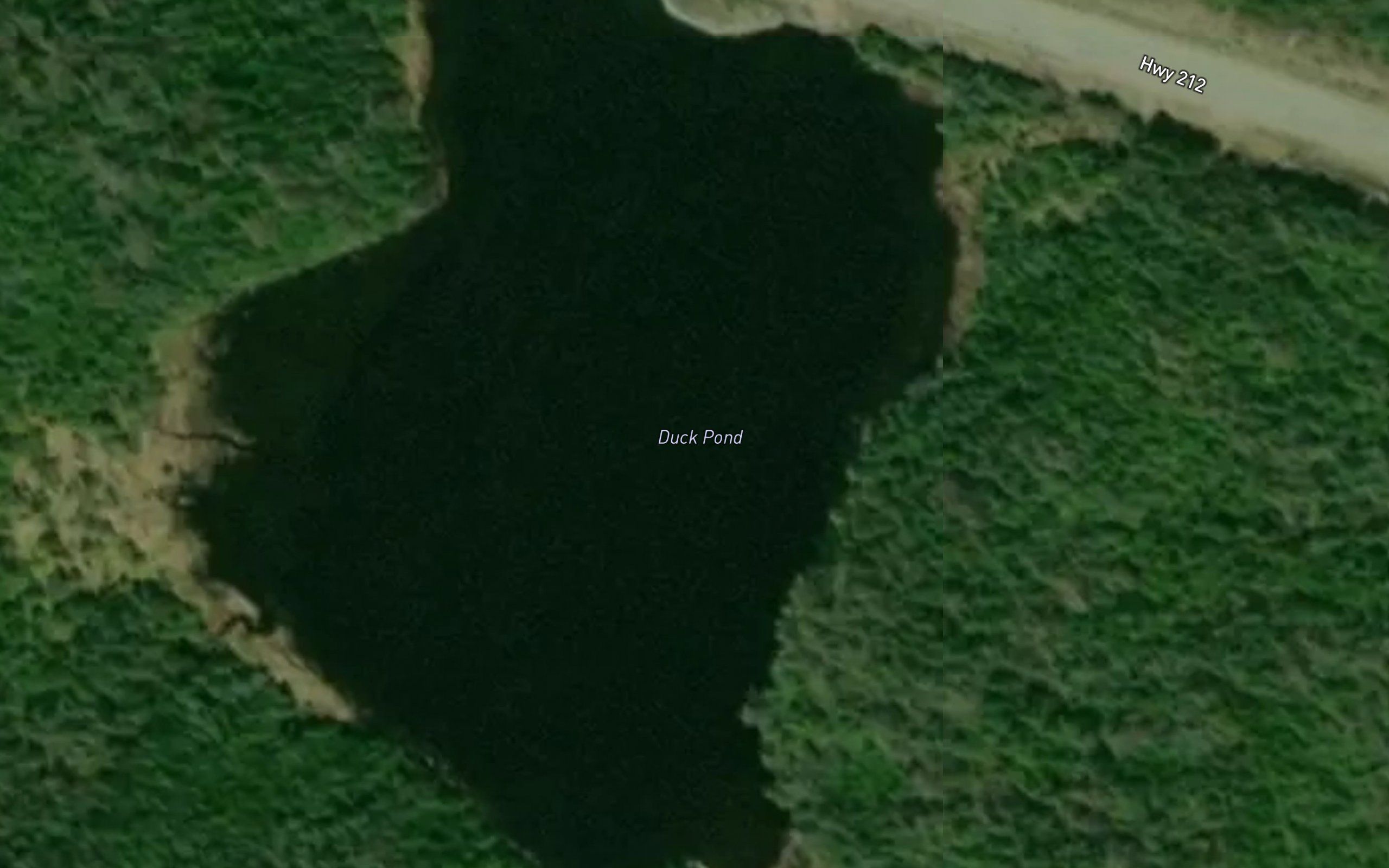 Duck Pond