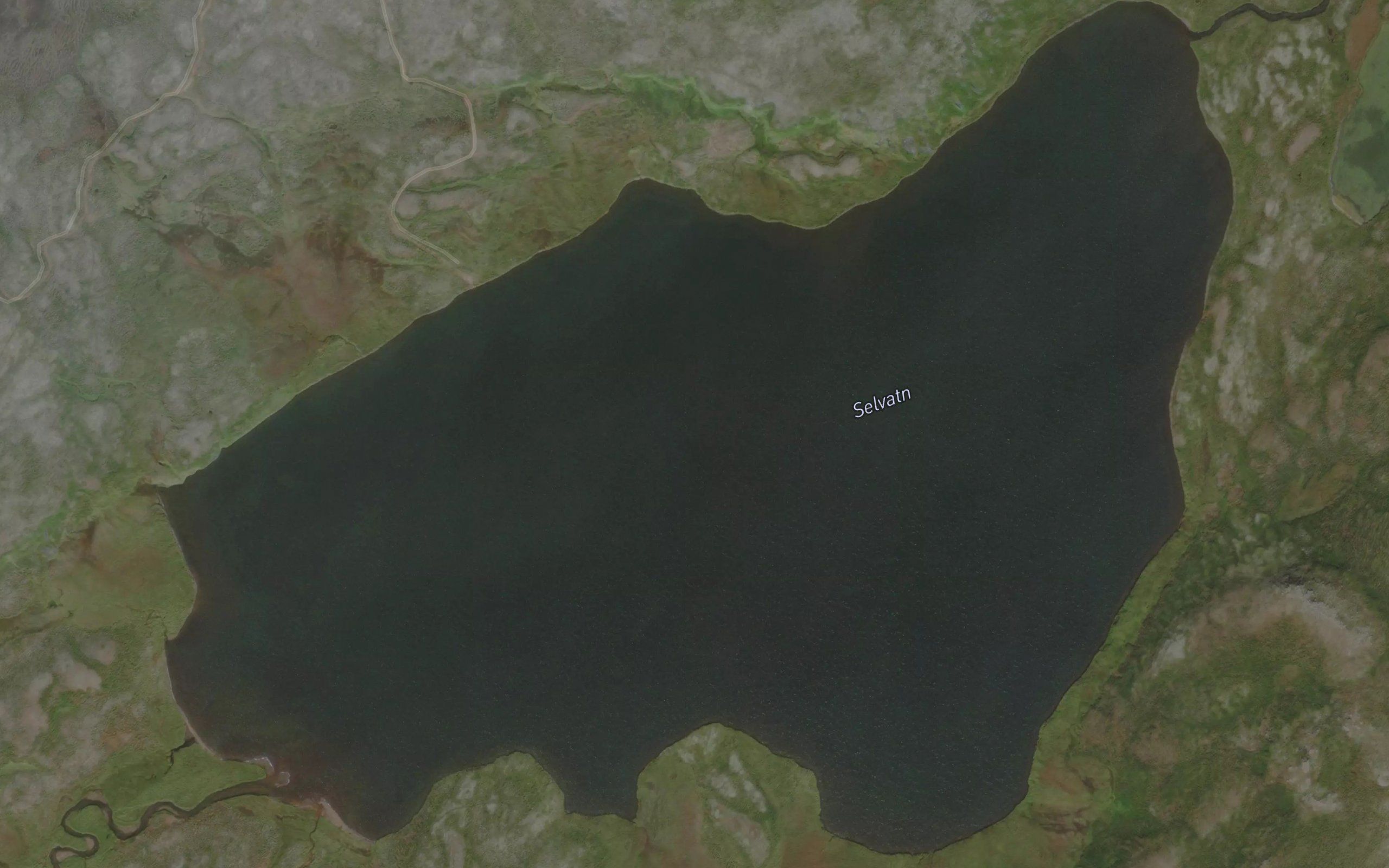 Selvatn