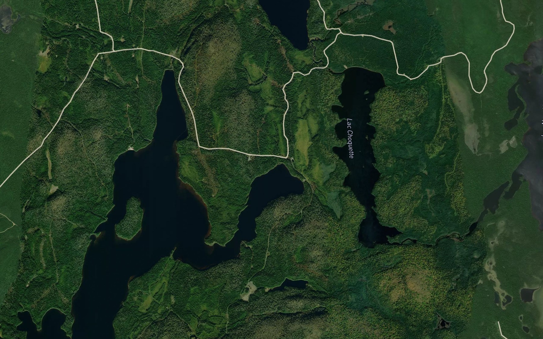 Satellite map of the Lac de la Fleche