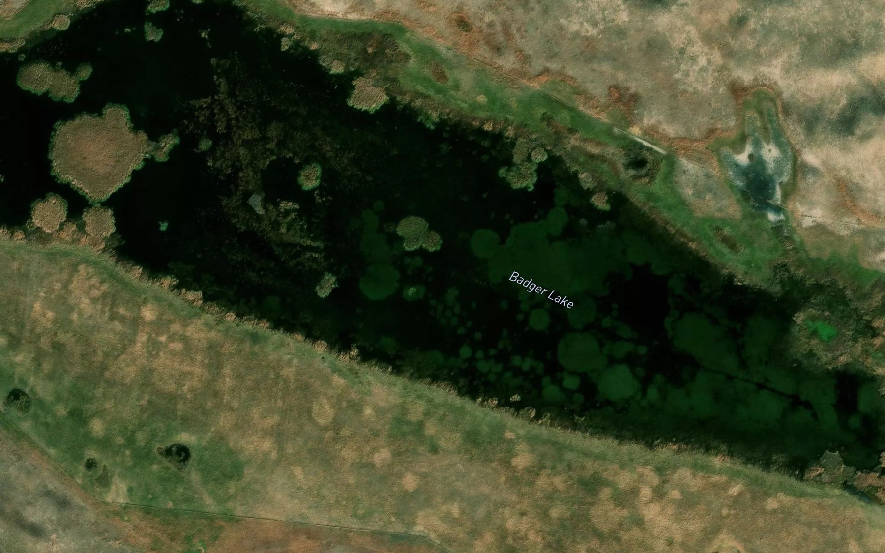 Satellite map of the Badger Lake