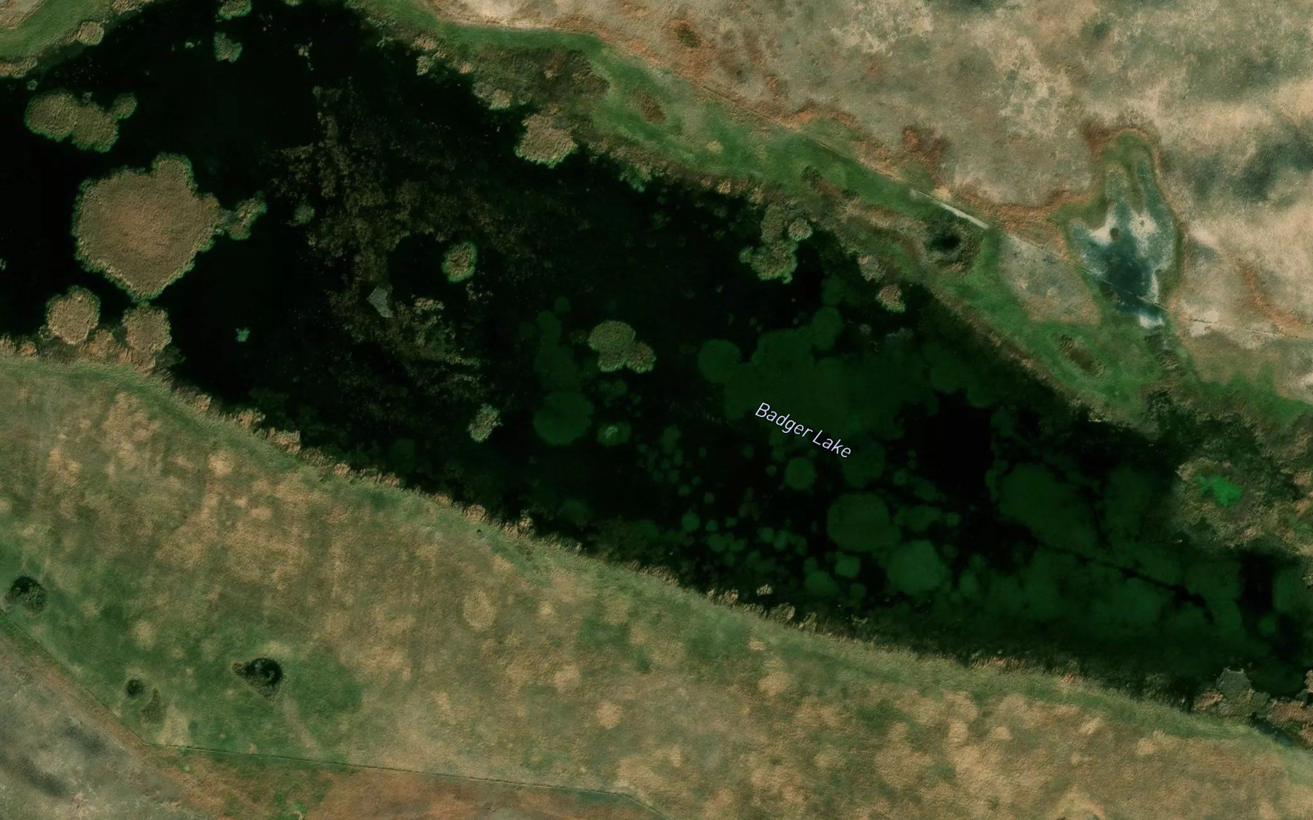 Badger Lake
