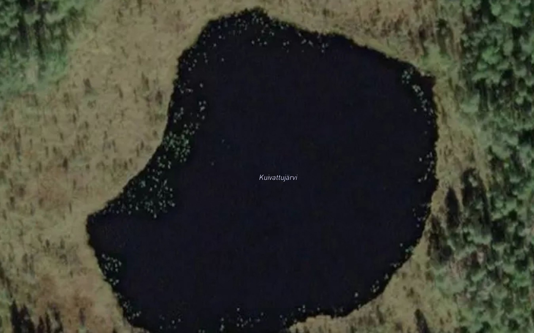 Satellite map of the Kuivattujarvi