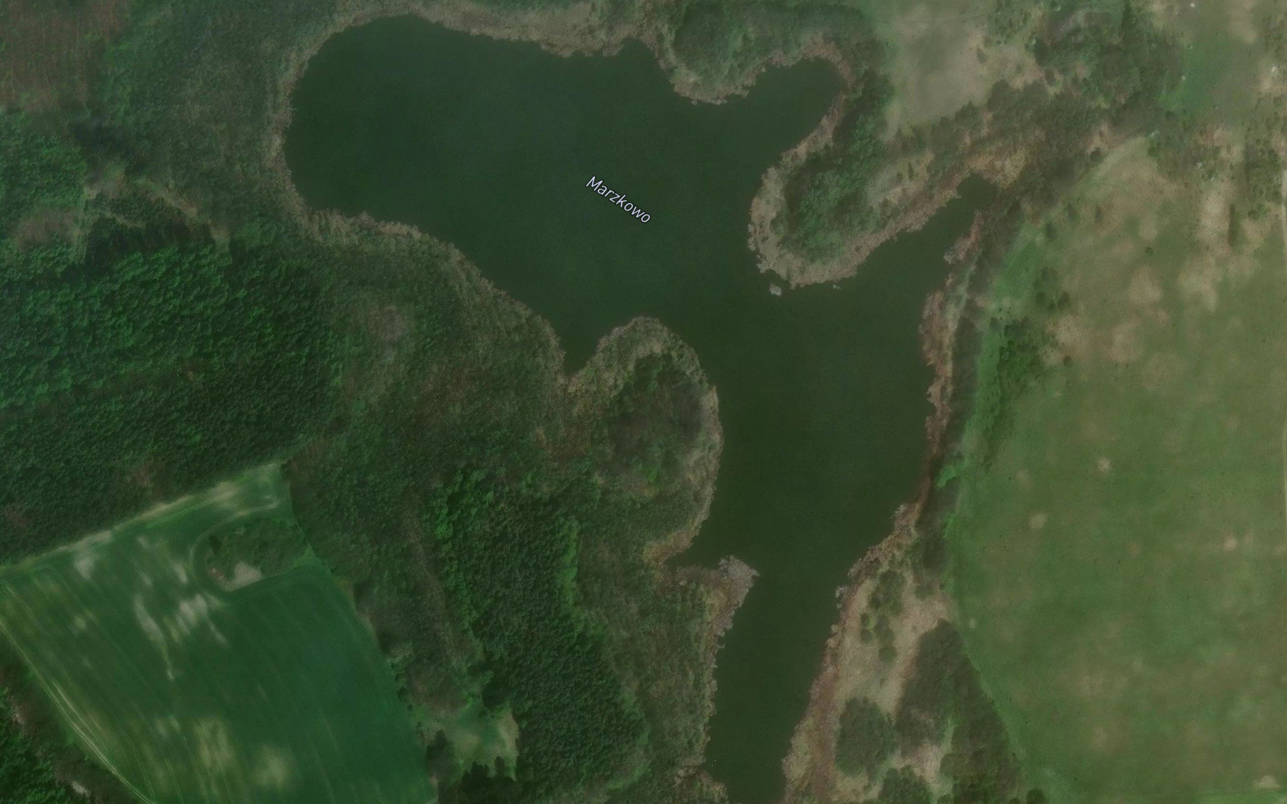 Jezioro Marzkowo