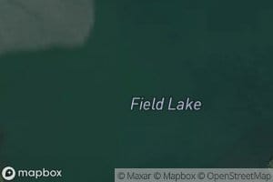 Field Lake