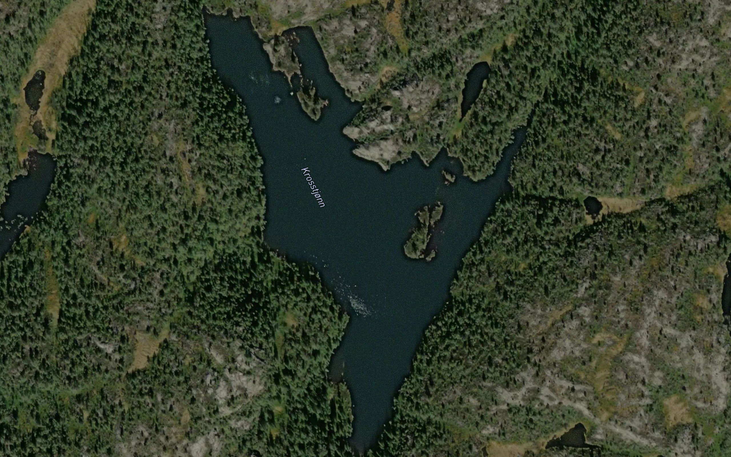 Krosstjonn