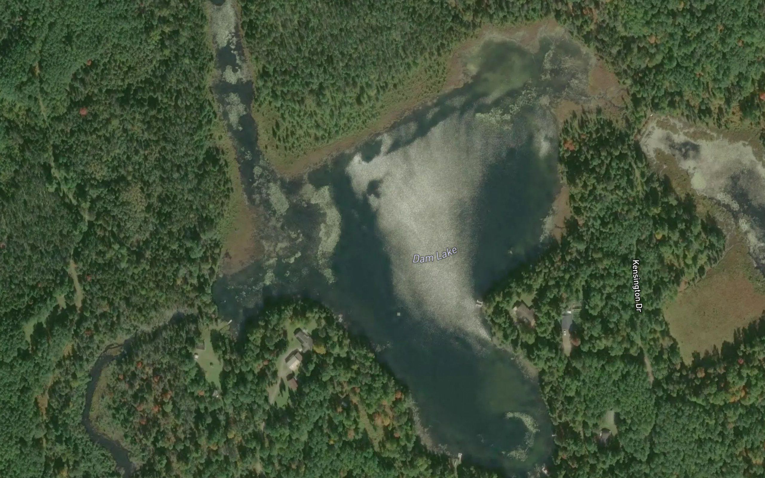 Dam Lake