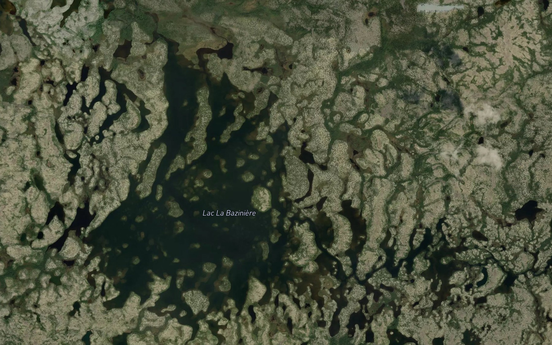 Satellite map of the Lac La Baziniere